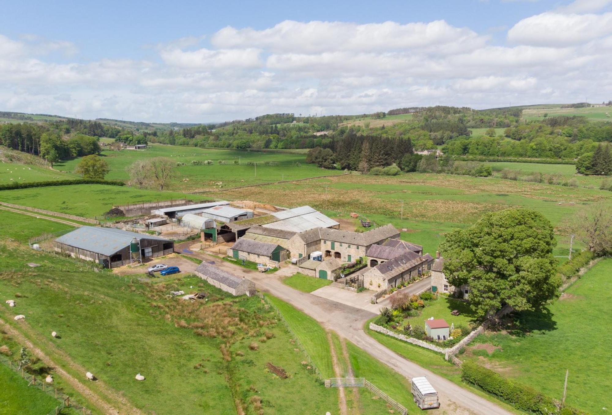 Wydon Farm Bed And Breakfast Haltwhistle Ngoại thất bức ảnh