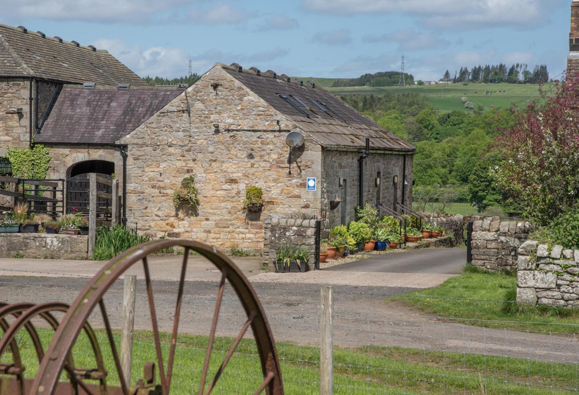 Wydon Farm Bed And Breakfast Haltwhistle Ngoại thất bức ảnh