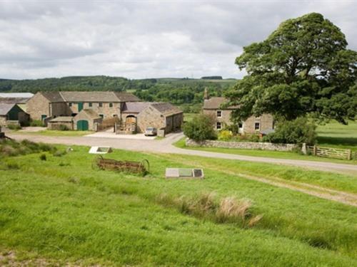 Wydon Farm Bed And Breakfast Haltwhistle Ngoại thất bức ảnh