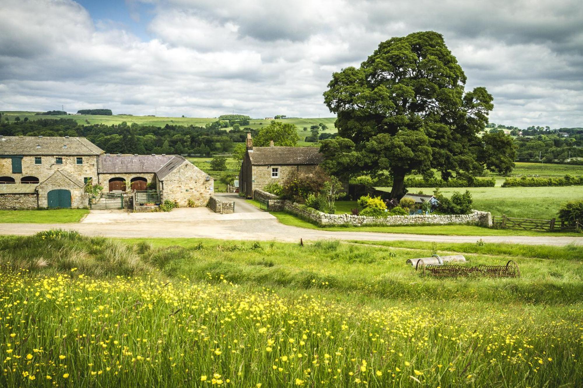 Wydon Farm Bed And Breakfast Haltwhistle Ngoại thất bức ảnh