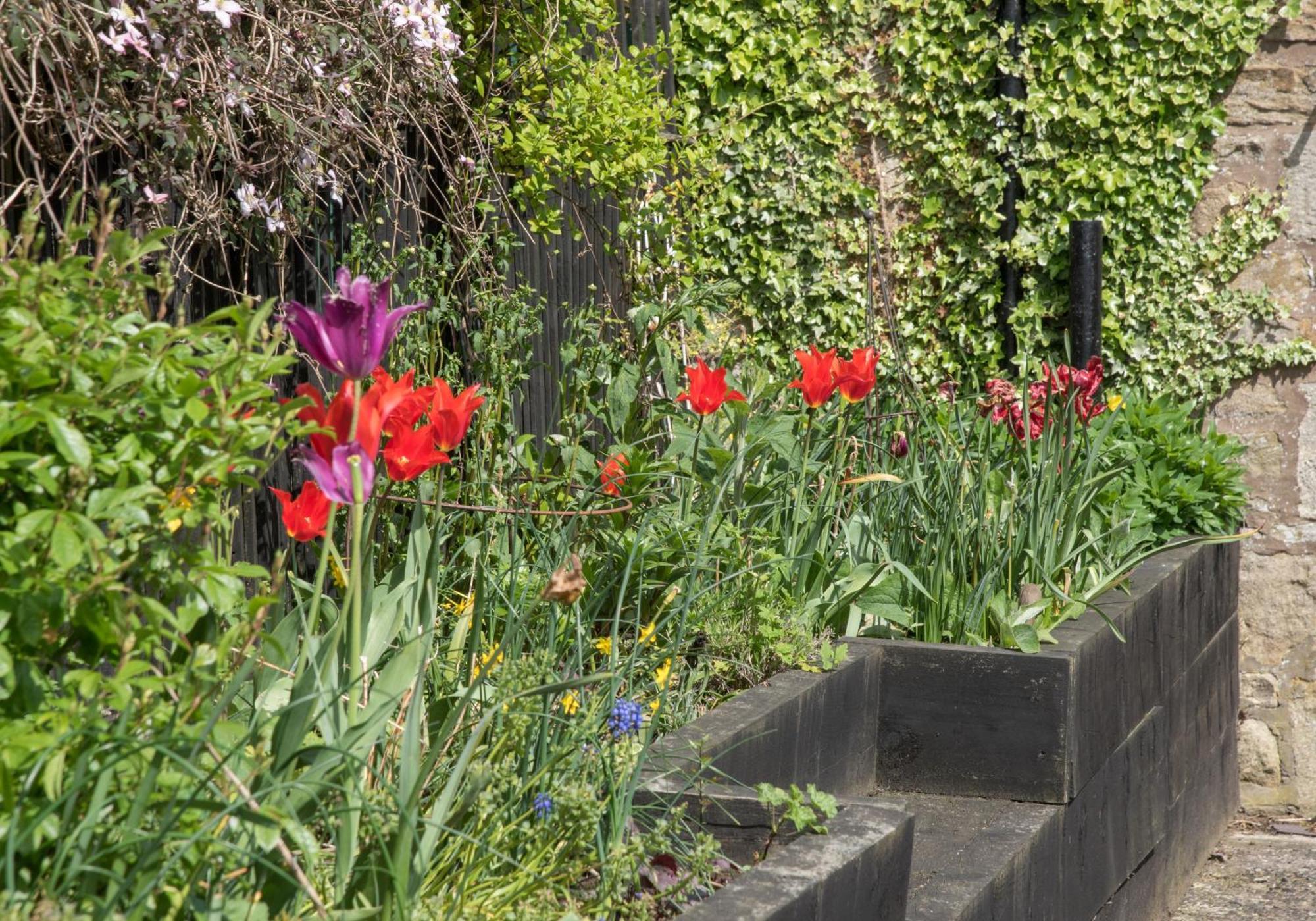 Wydon Farm Bed And Breakfast Haltwhistle Ngoại thất bức ảnh